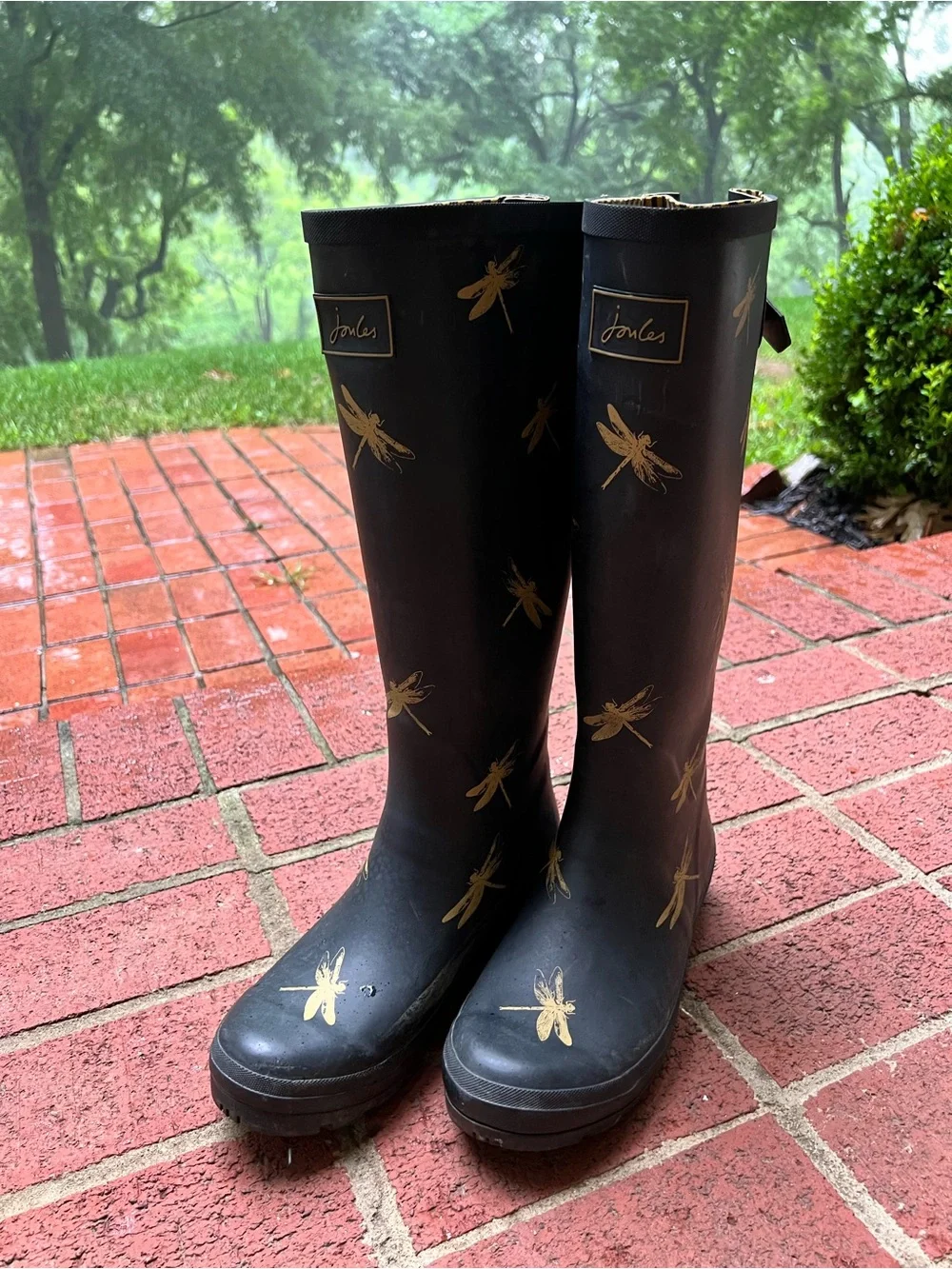 Joules Women’s Welly Black Rain boots with Gold Dragonflies size 9